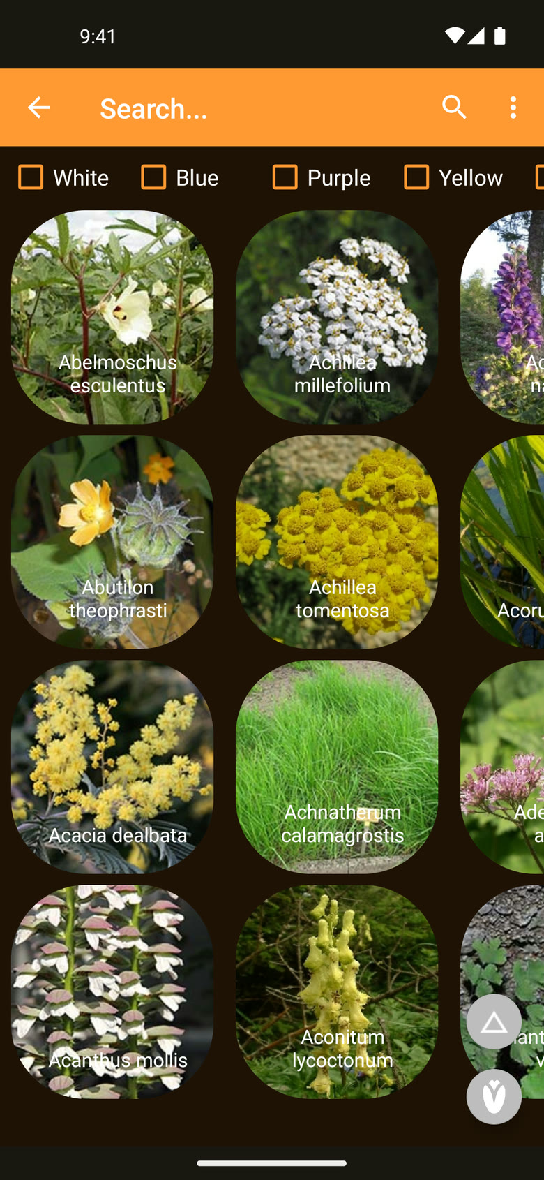 Catalogue