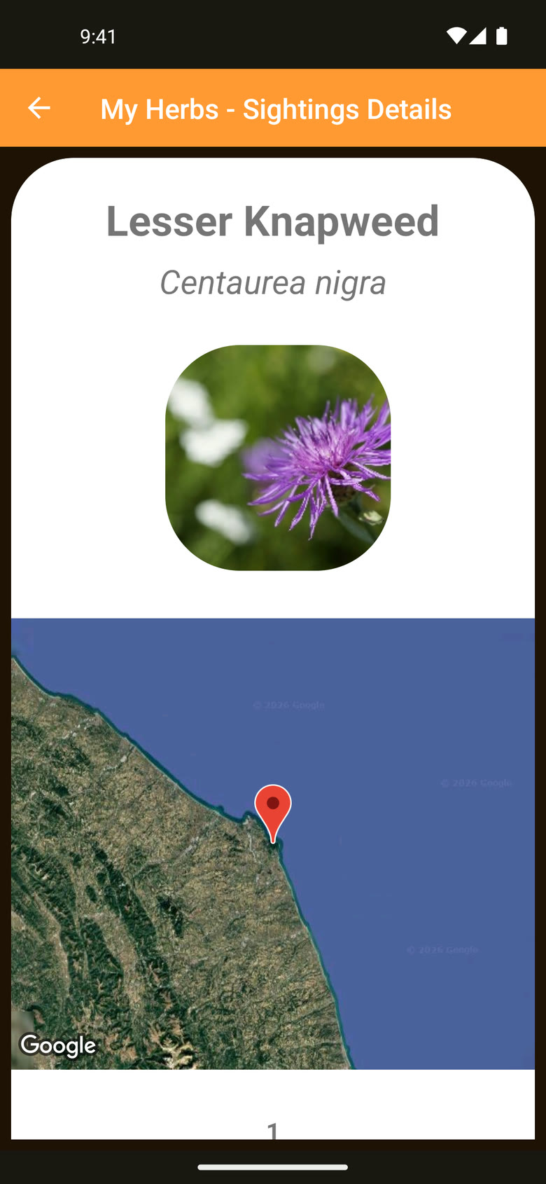 Sighting details