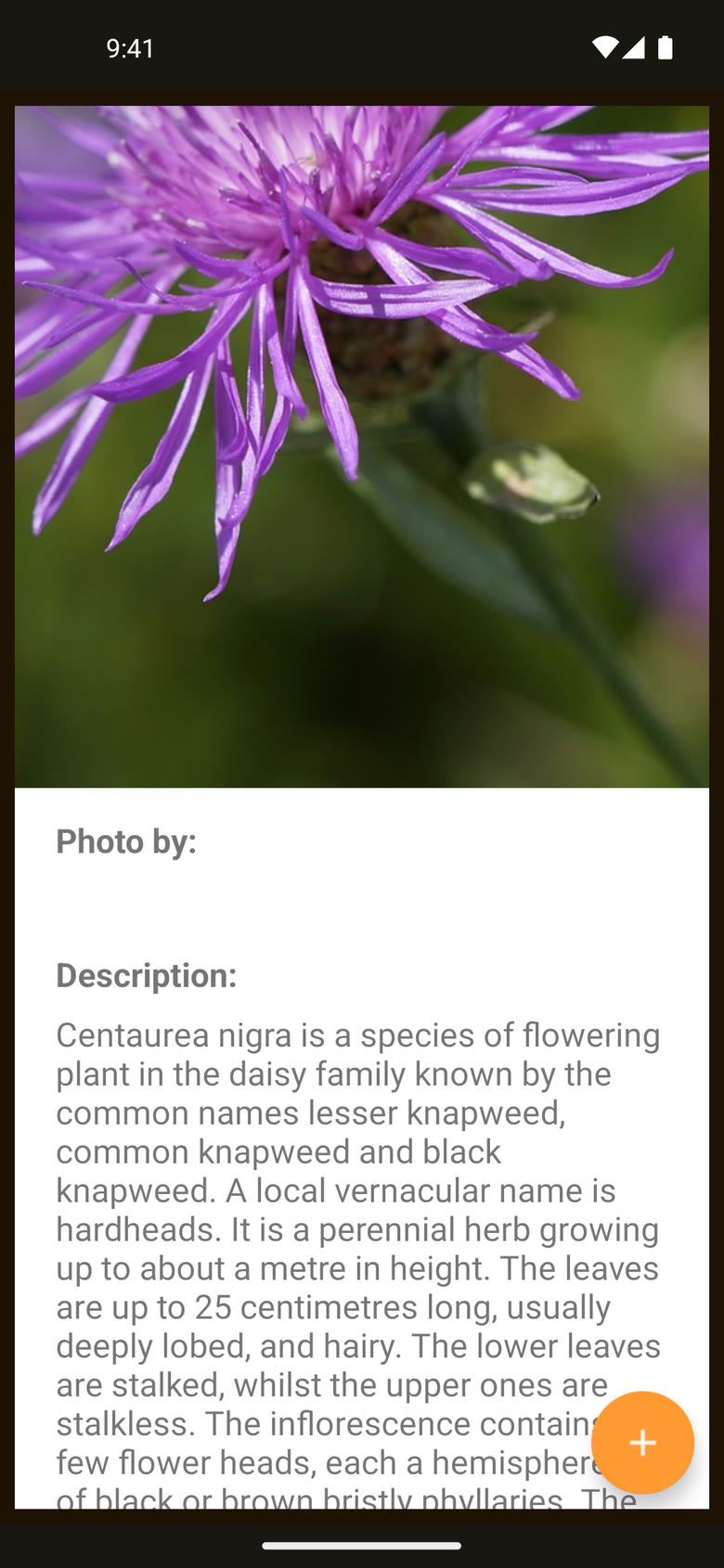 Description